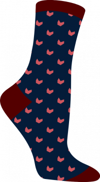Charitativní ponožky Nr. 2